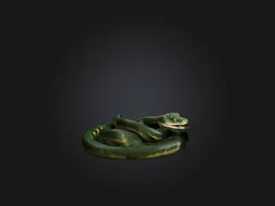 Realistic Snake Model Low-poly 3D model