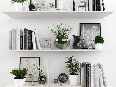 Decorative set shelves with plants and books Low-poly 3D model