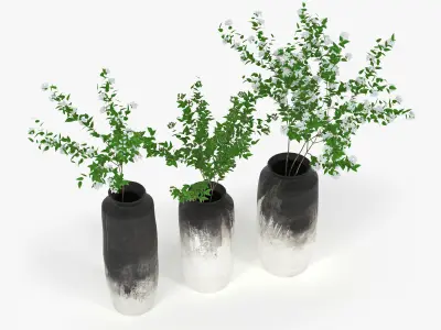 Branch three vases with plants 3D model