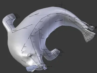 Earless seal 3D model