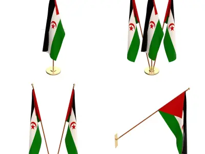 Western Sahara Flag Pack 3D model
