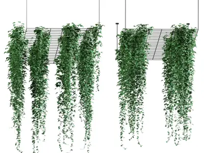 Ivy hanging from the ceiling on a trellis - 6 models 3D model