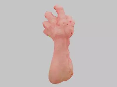 Monstrous Claw Low-poly 3D model