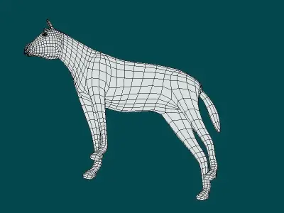 Foal Horse Animal Low-poly 3D model