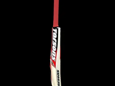 Cricket Bat 3D model