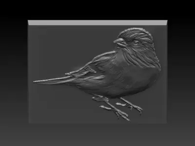 Birdd bird 3D print model
