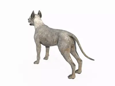 Mammalian hunting dog 3D model