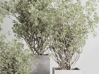 concrete box plants on stand - set outdoor plant 207 3D model