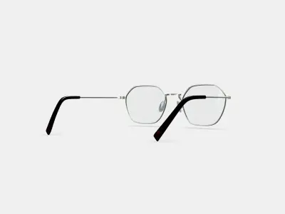 Keiko Eyeglasses in Polished Silver 3D model