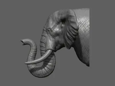Elephant head bust 3D print model