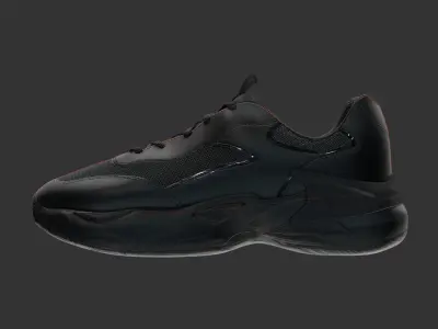 North Star Shoe Low-poly 3D model