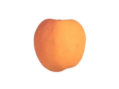 Photorealistic Apricot 3D Scan 3D model