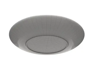 Plate Low-poly 3D model purchase