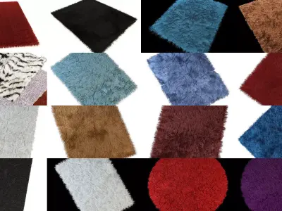 Collection  different carpets and skins  your projects 85 models