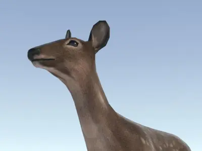 Low-poly Animated Deer Low-poly 3D model