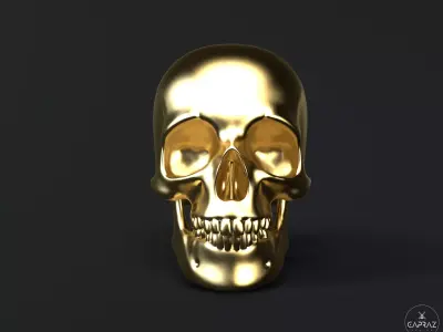 3D Printable Skull - rc 3D print model