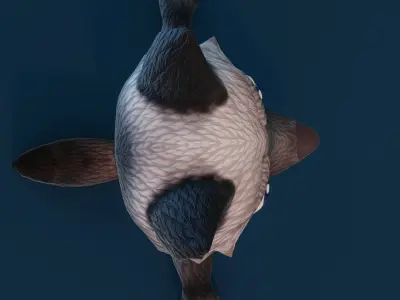 Cartoon Silver Fox 3D Model Low-poly 3D model