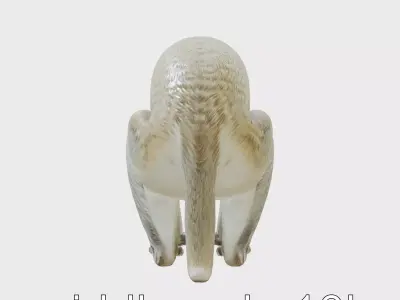 Realistic Vervet Monkey 3D Model with Detailed Fur Low-poly 3D model