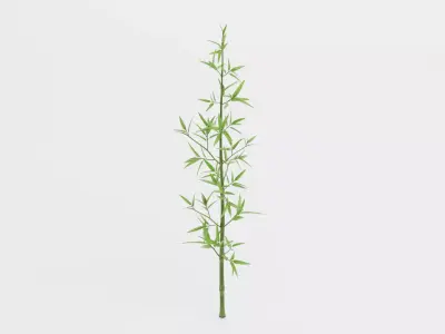 Bamboo Plant - Stem with Leaves Low-poly 3D model