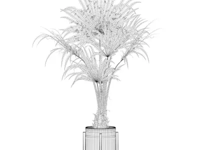 Washingtonia filifera palm 3D model