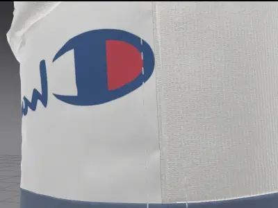 champion socks 3D model