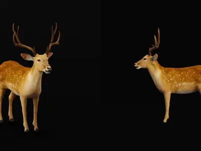 Fallow Deer Low-poly 3D model