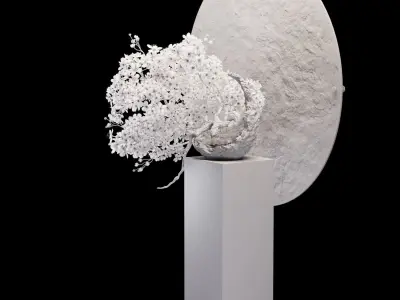 Bonsai sakura Low-poly 3D model