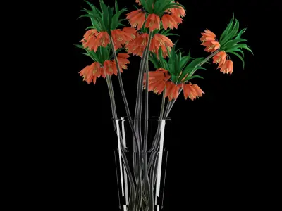 Fritillaria Imperials Bouquet 3D model