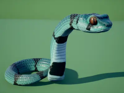 Snake stylized Low-poly 3D model