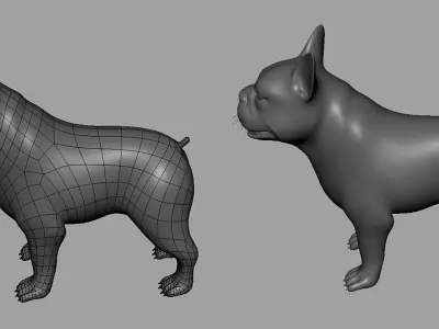 French Bulldog BaseMesh Low-poly 3D model