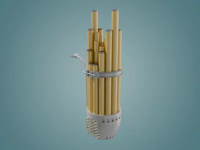 low profile instrument alto sheng Low-poly 3D model
