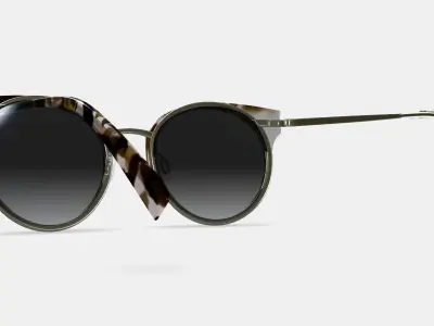 Cleo Sunglasses in Pearled Tortoise with Riesling 3D model