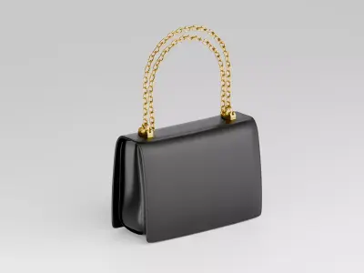 HAND BAG 3D model