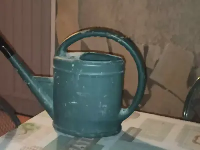 Wateringcan watering can Free 3D model