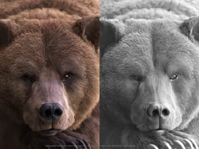 Bear RIG xgen core 3D model