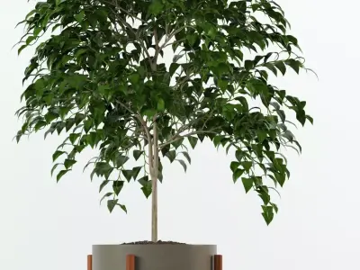 Plants collection 78 Modernica pots 3D model