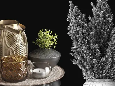Decorative set with pampas 3D model