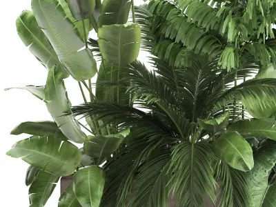 Houseplants in a flowerpot for the interior 919 3D model