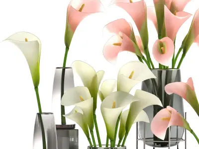 Calla flower bouquet in a Vase 114 3D model