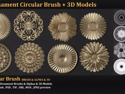 8 Ornament Circular 3Dmodel Brush alpha vol3 3D model