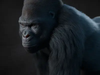 Gorilla 3 RIG XGEN CORE 3D model