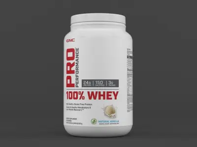 Protein Powder 3D model 173