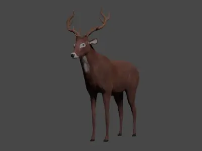 Deer - rigged - painted 3D model