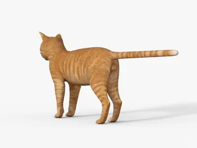 Yellow 3D Cat Rigged 3D model