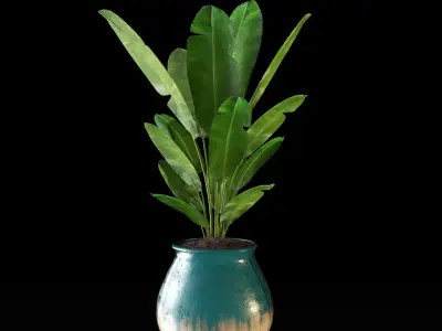 banana tree 3D model