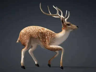 Deer-C4 3D model