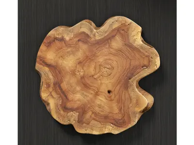 Uttermost Kolini wood wall decor 3D model