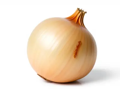 Silky Textured Onion 3D Model Pack Low-poly 3D model