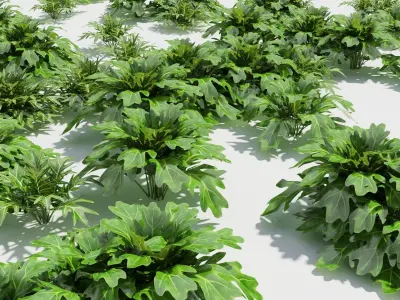 Philodendron plant in pot 3D model