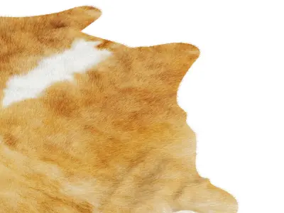 Animal skin rug 06 3D model